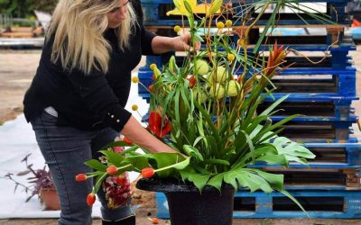 WhatsApp Image 2022-06-23 at 12.51.42