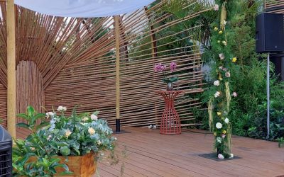 WhatsApp Image 2022-06-23 at 12.51.43 (1)