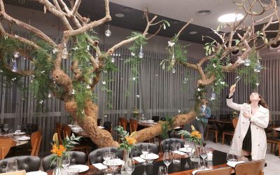 WhatsApp Image 2022-06-23 at 12.51.46